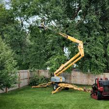  Ahuimanu, HI Tree Services Pros